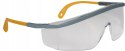 Okulary ochronne DELTA PLUS KILIMANDJARO