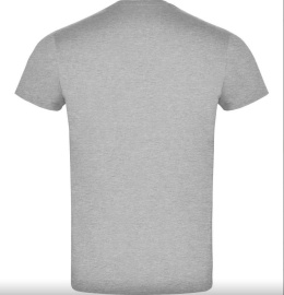 T-shirt ROLY ATOMIC szary