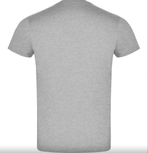 T-shirt ROLY ATOMIC szary T-shirt ROLY ATOMIC szary